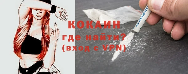 стаф Ладушкин