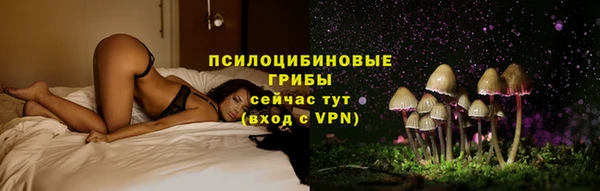 ПСИЛОЦИБИНОВЫЕ ГРИБЫ Аркадак