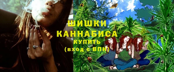 ПСИЛОЦИБИНОВЫЕ ГРИБЫ Арсеньев
