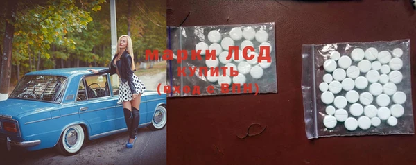 ПСИЛОЦИБИНОВЫЕ ГРИБЫ Арсеньев