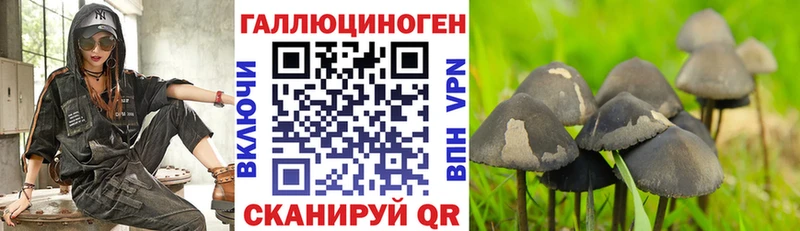 ОМГ ОМГ ТОР  Шлиссельбург  darknet какой сайт  наркошоп  Псилоцибиновые грибы Psilocybine cubensis 
